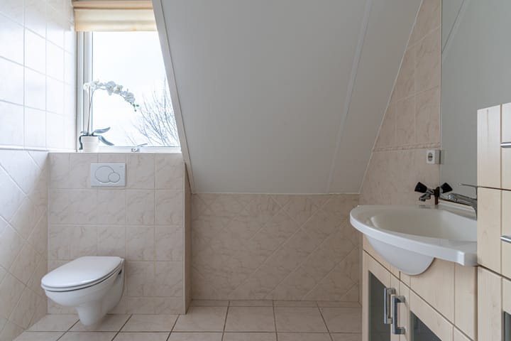 Photo 64 of Boeier 1