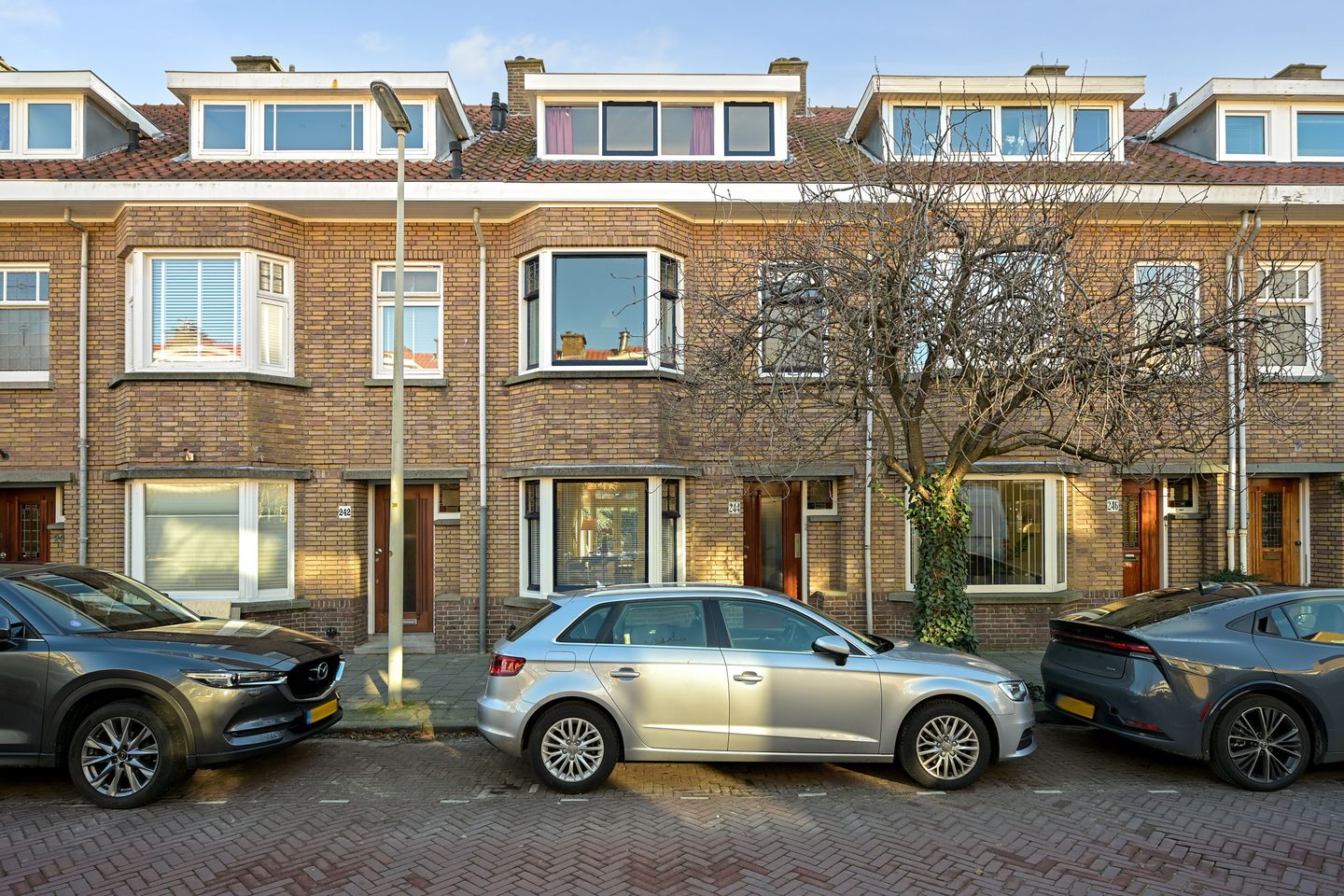 Foto 1 van Tomatenstraat 244