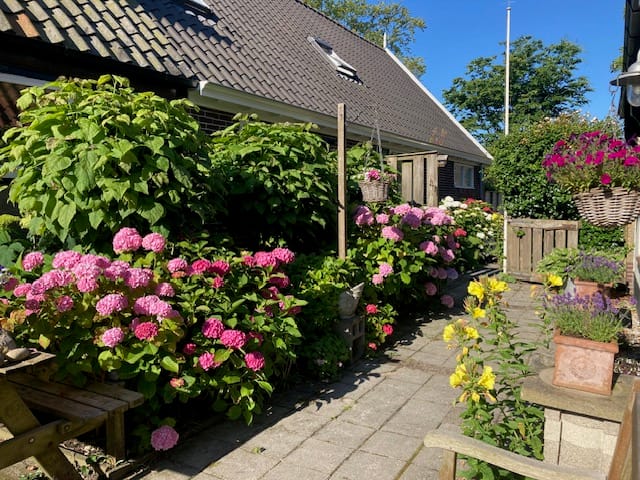 Foto 10 van Dorpsstraat 292