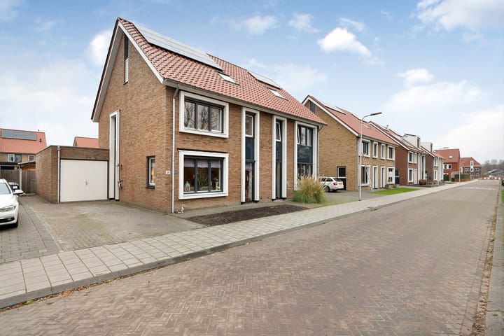 Foto 6 van Omslag 29