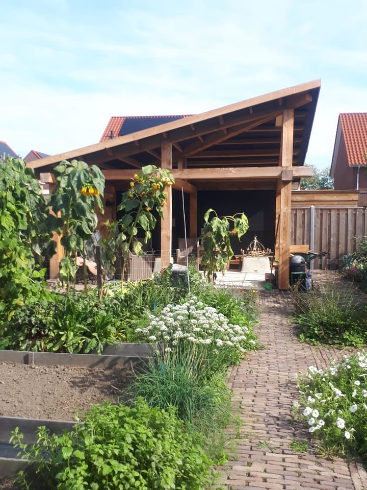 Foto 41 van Omslag 29