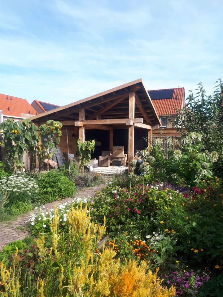 Foto 42 van Omslag 29