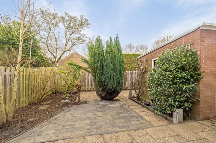 Foto 25 van Cort van der Lindenlaan 50