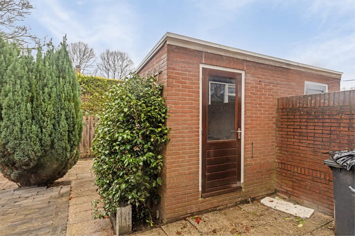 Foto 30 van Cort van der Lindenlaan 50