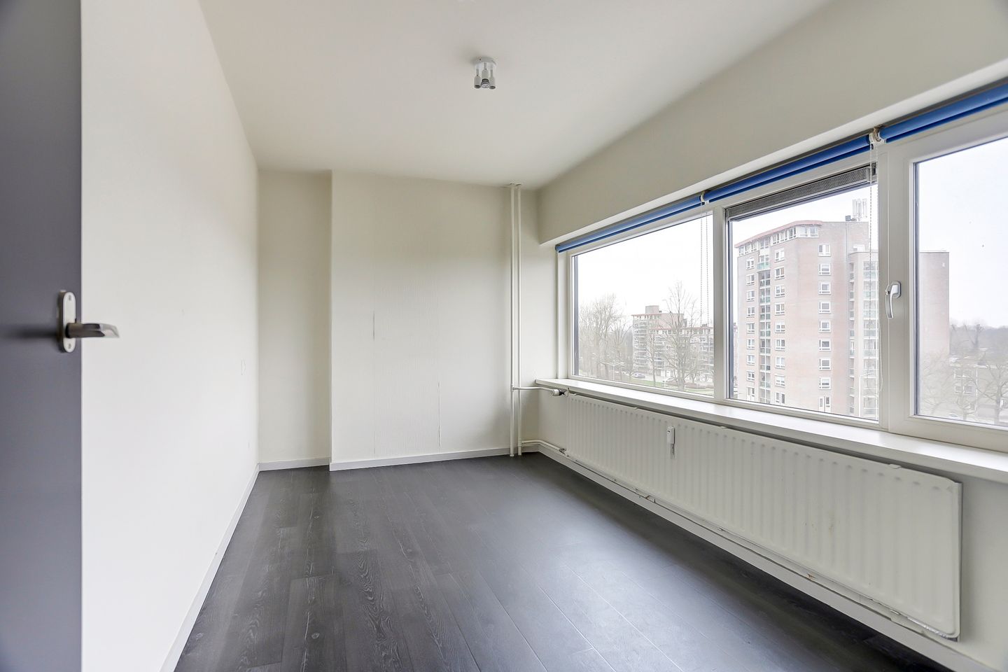 Foto 19 van Treubstraat 168