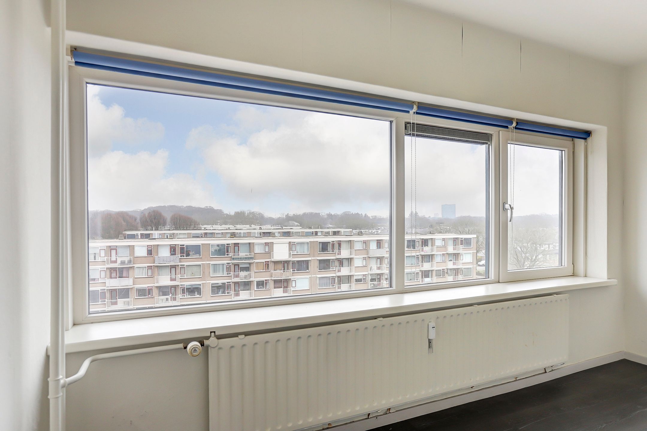 Foto 21 van Treubstraat 168