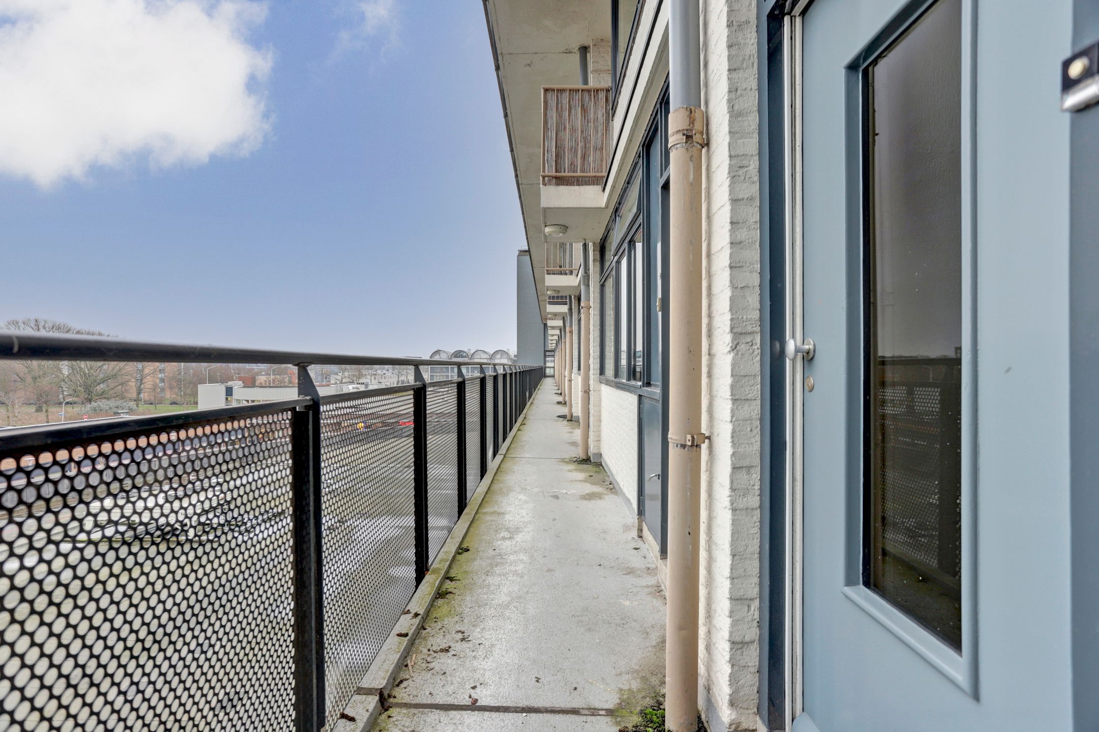 Foto 36 van Treubstraat 168