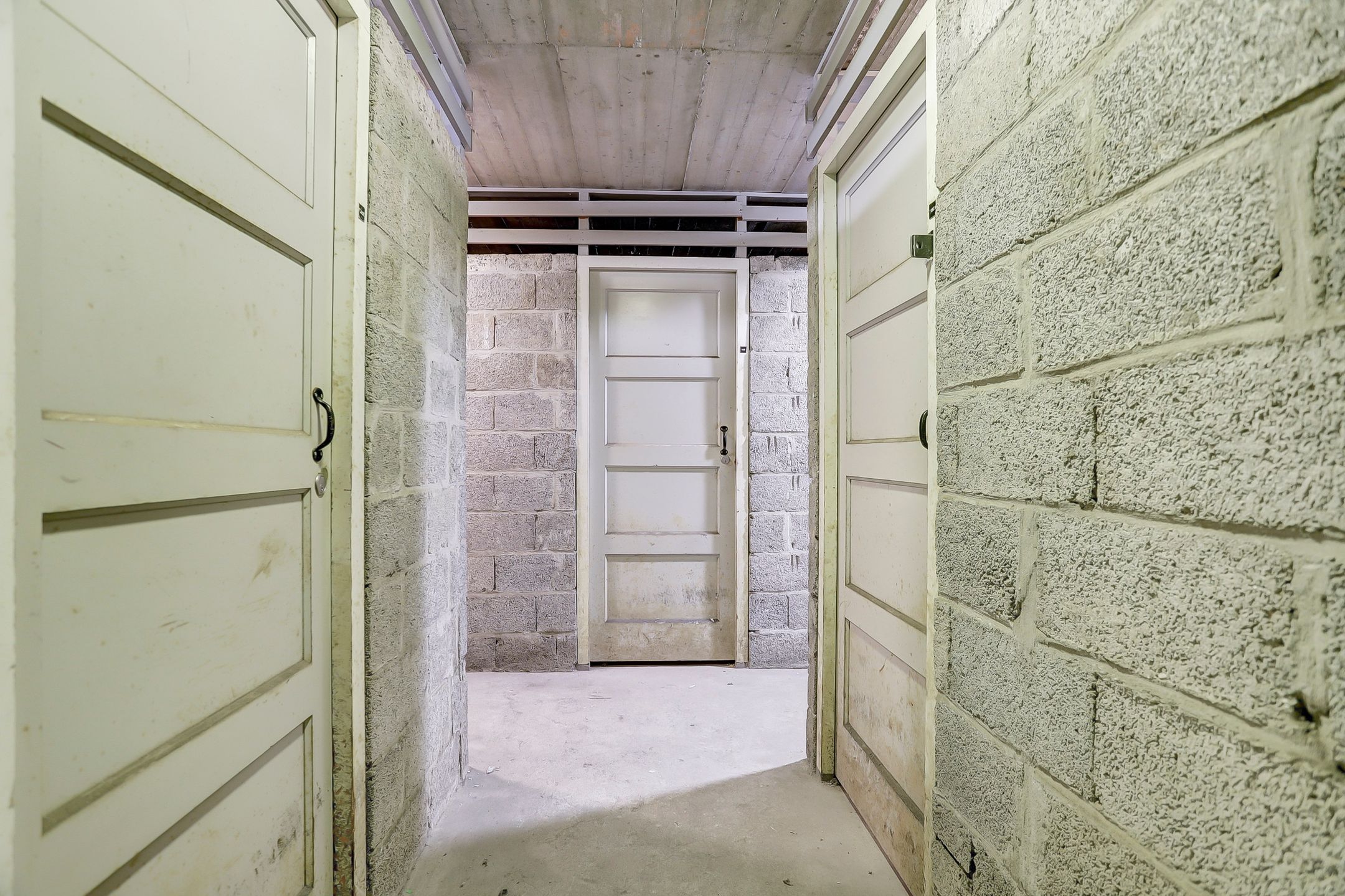 Foto 39 van Treubstraat 168