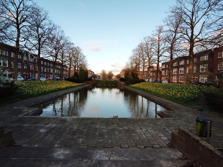 Foto 50 van Amalia van Solmsstraat 13-A