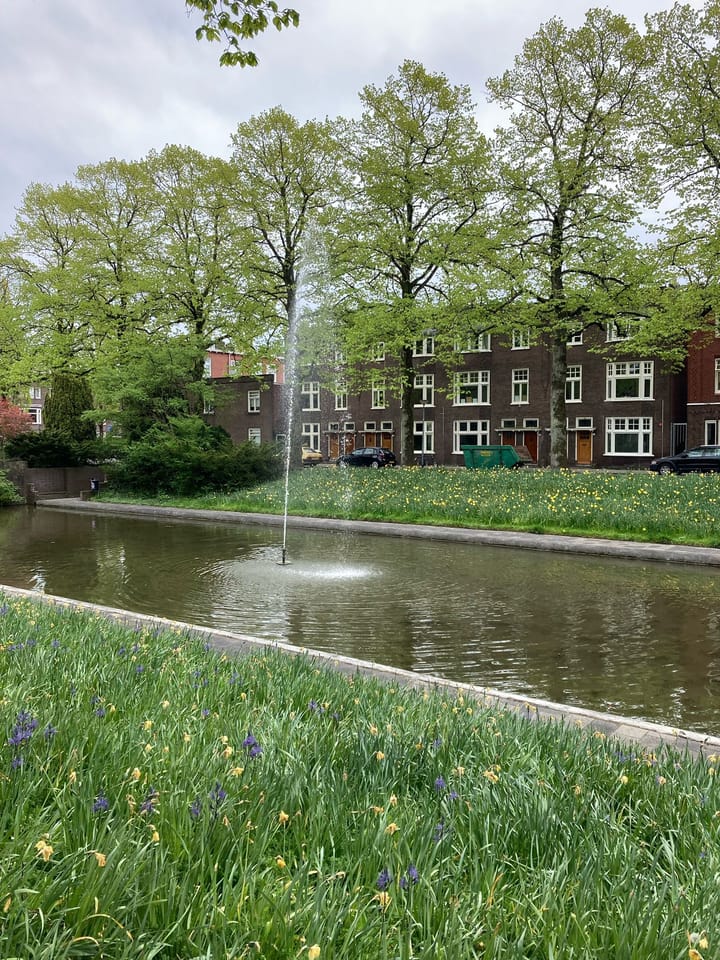 Foto 51 van Amalia van Solmsstraat 13-A