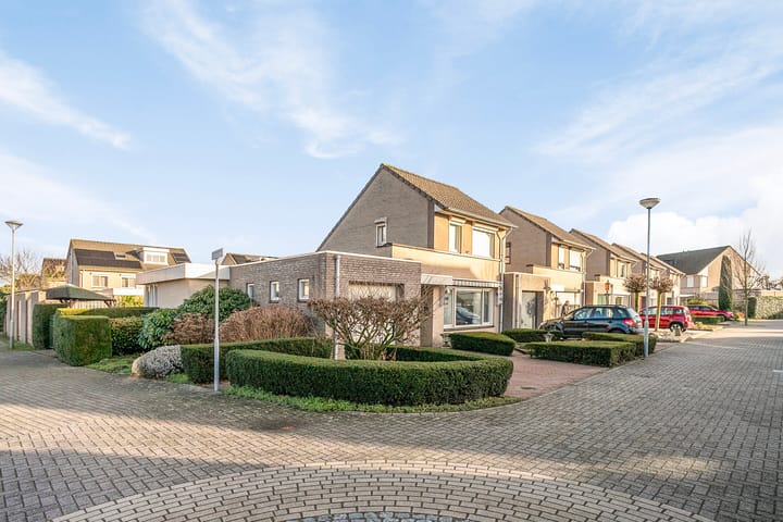 Foto 5 van Gentiaan 10