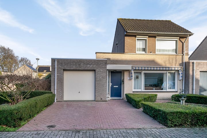 Foto 6 van Gentiaan 10