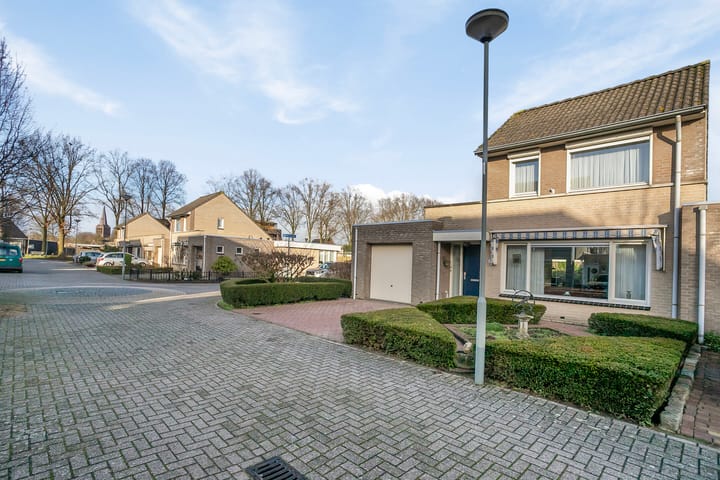 Foto 8 van Gentiaan 10