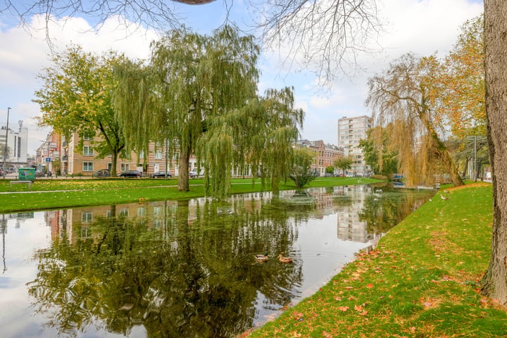 Bekijk foto 48 van Noordsingel 117-H