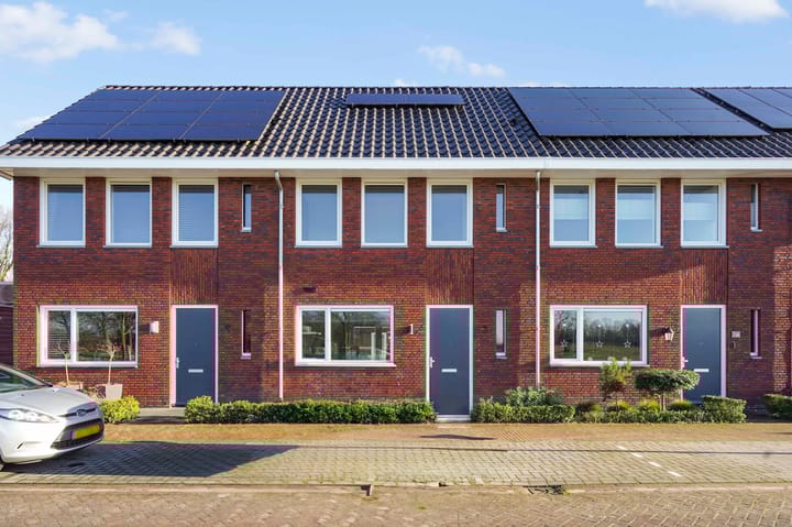 Foto 1 van Schorseneer 3