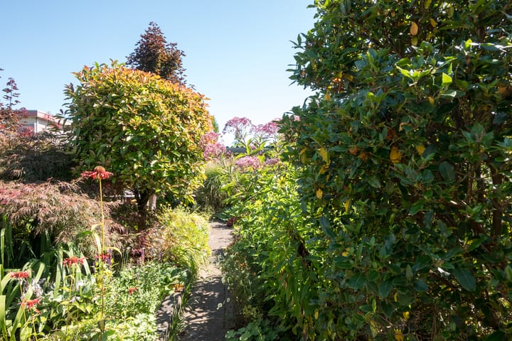 Foto 26 van Korenmolenweg 12