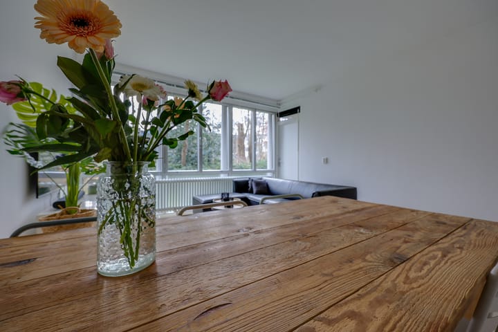 Foto 8 van Benedenlangs 49