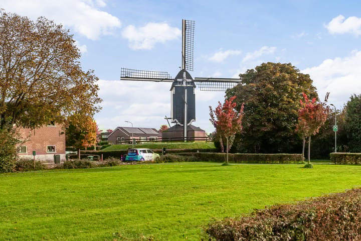 Foto 23 van Begoniastraat 8