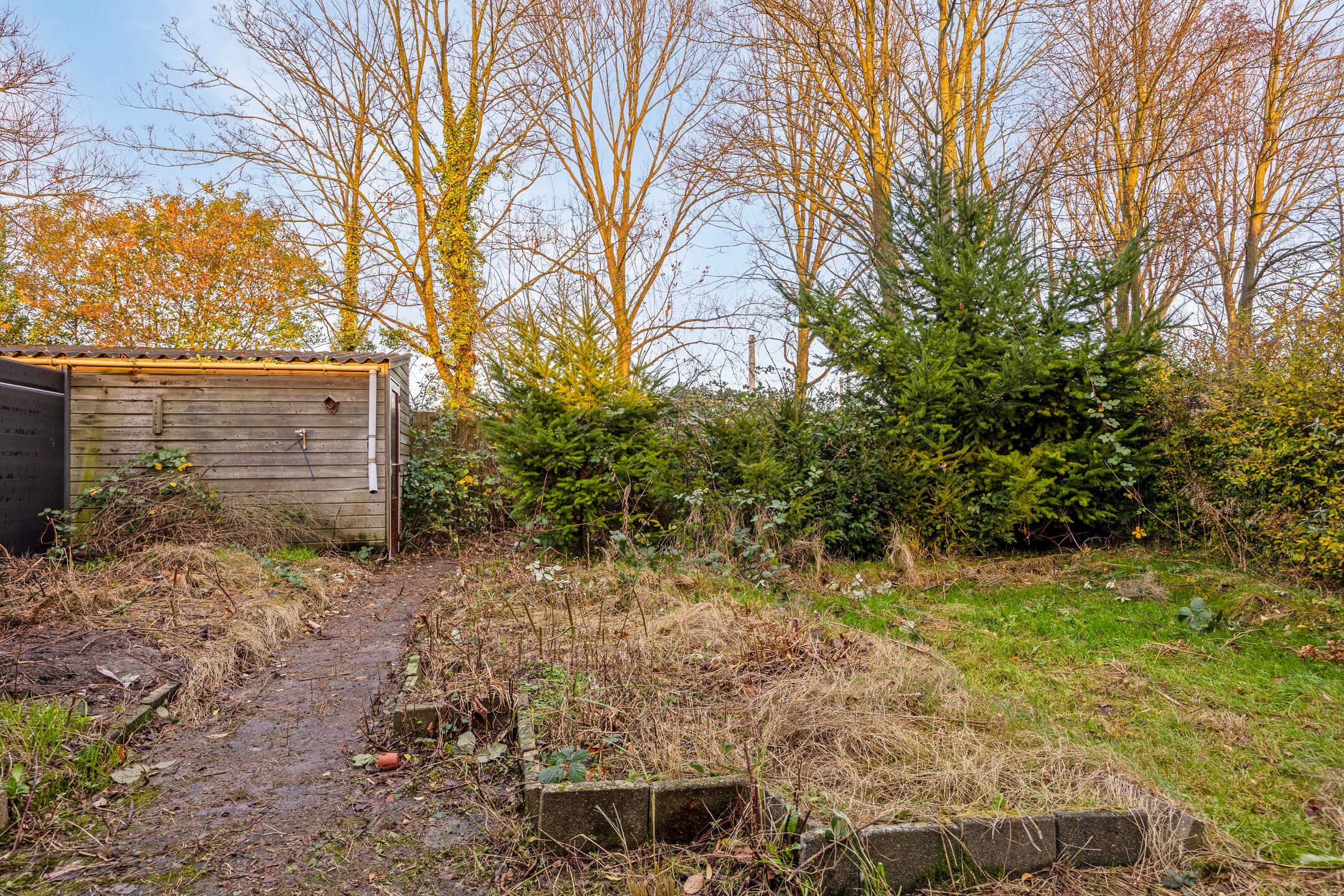 Photo 9 of Ferdinand Huyckstraat 33