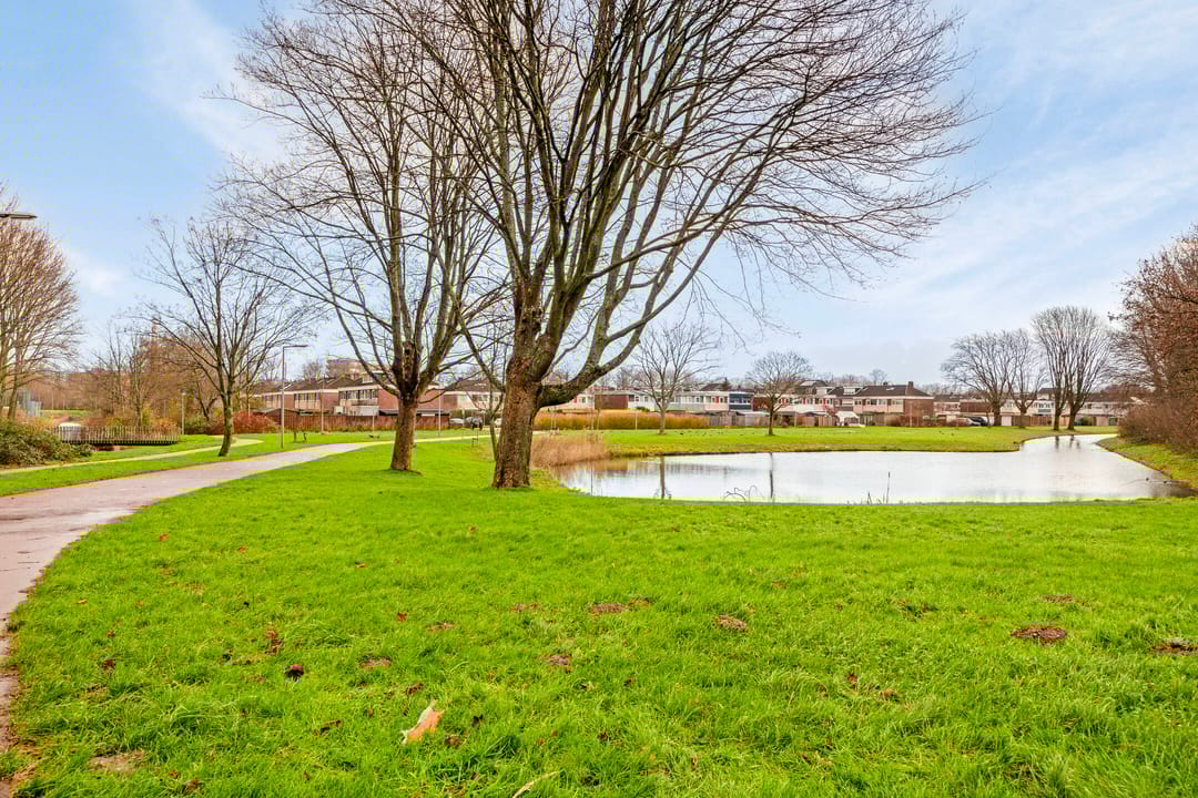 Photo 32 of Ferdinand Huyckstraat 33