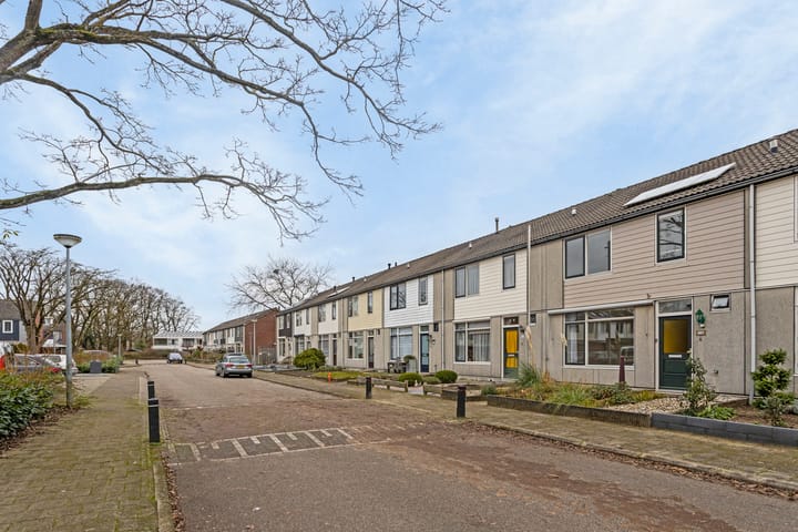 Foto 21 van Orion 18