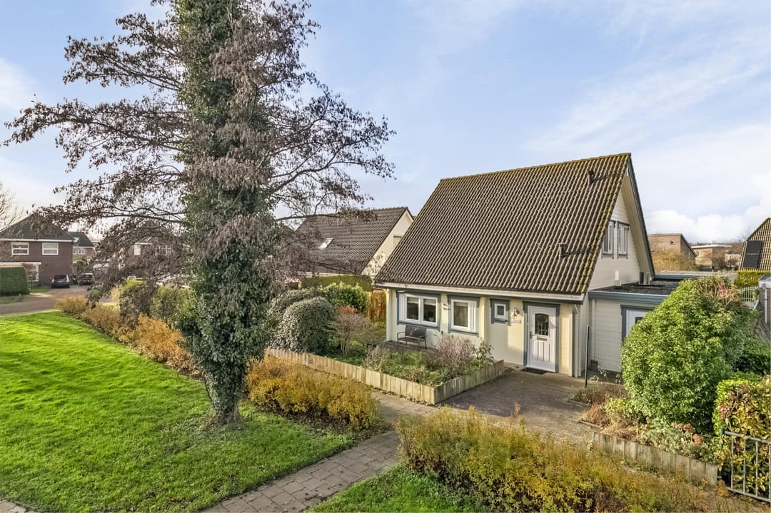 Foto 2 van Galjoen 20 1