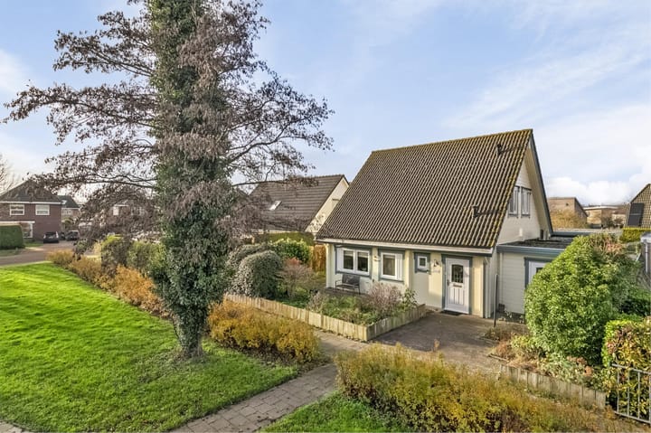 Foto 2 van Galjoen 20 1