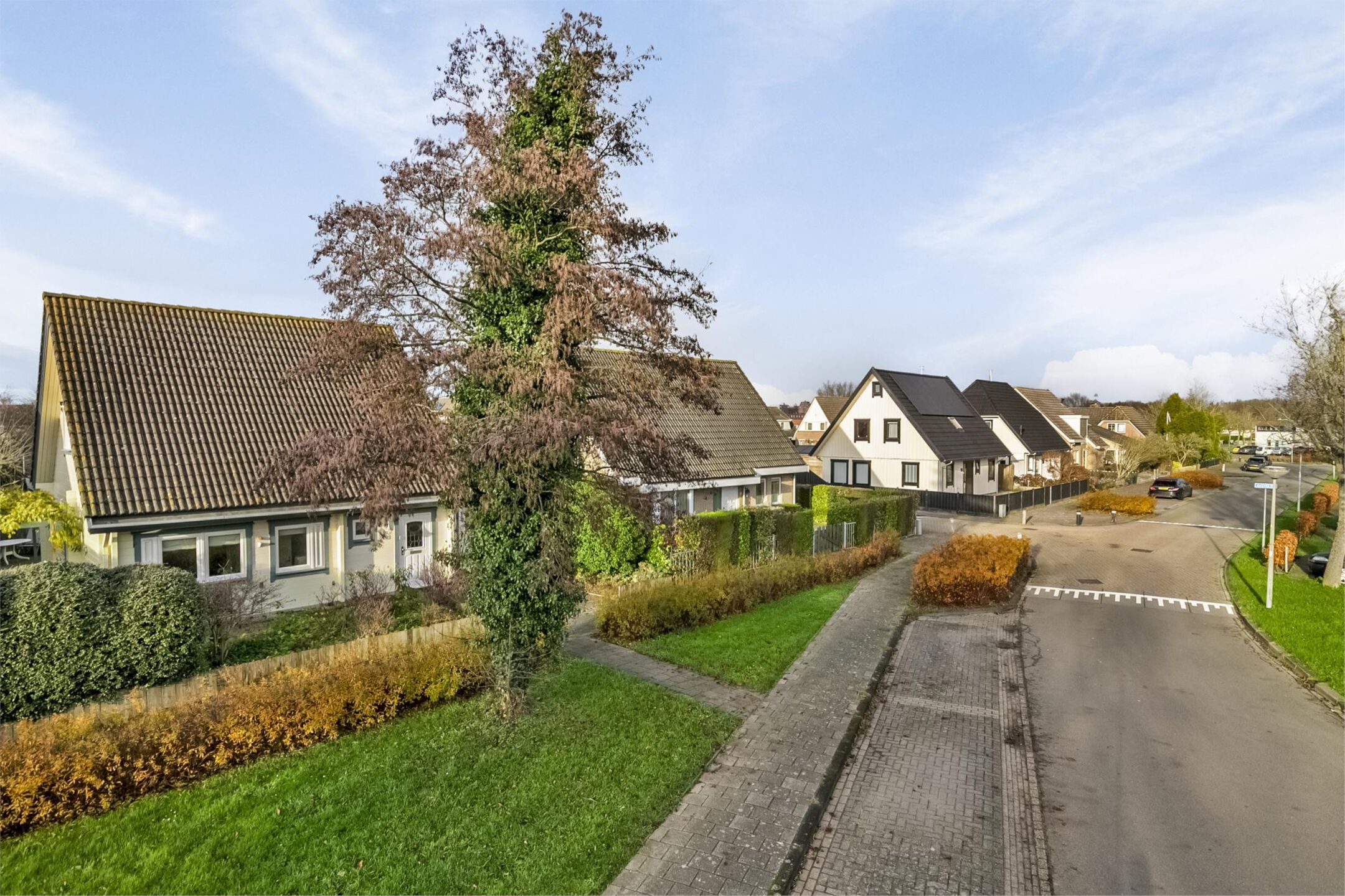 Foto 3 van Galjoen 20 1