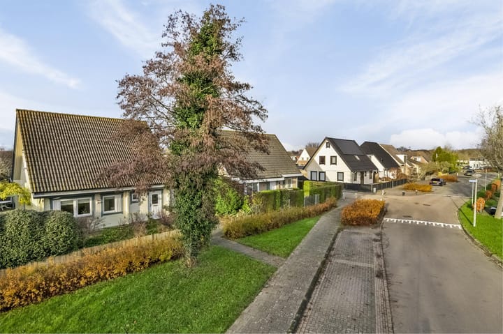 Foto 3 van Galjoen 20 1