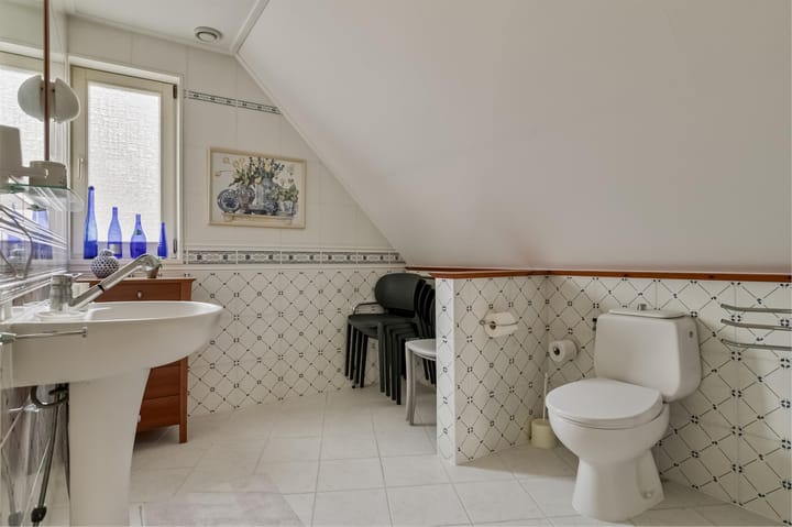 Foto 29 van Galjoen 20 1