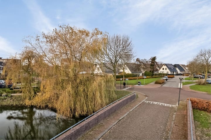 Foto 41 van Galjoen 20 1