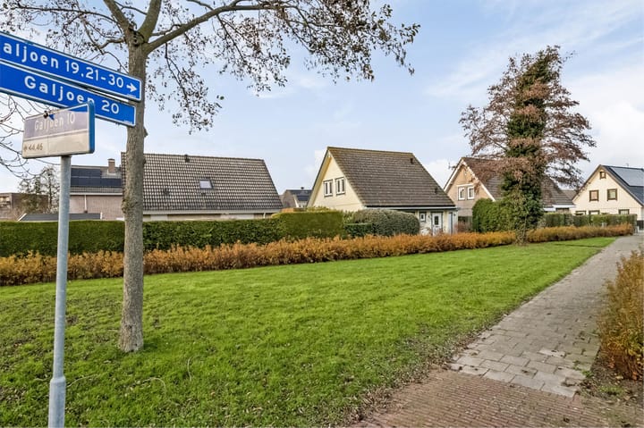 Foto 43 van Galjoen 20 1