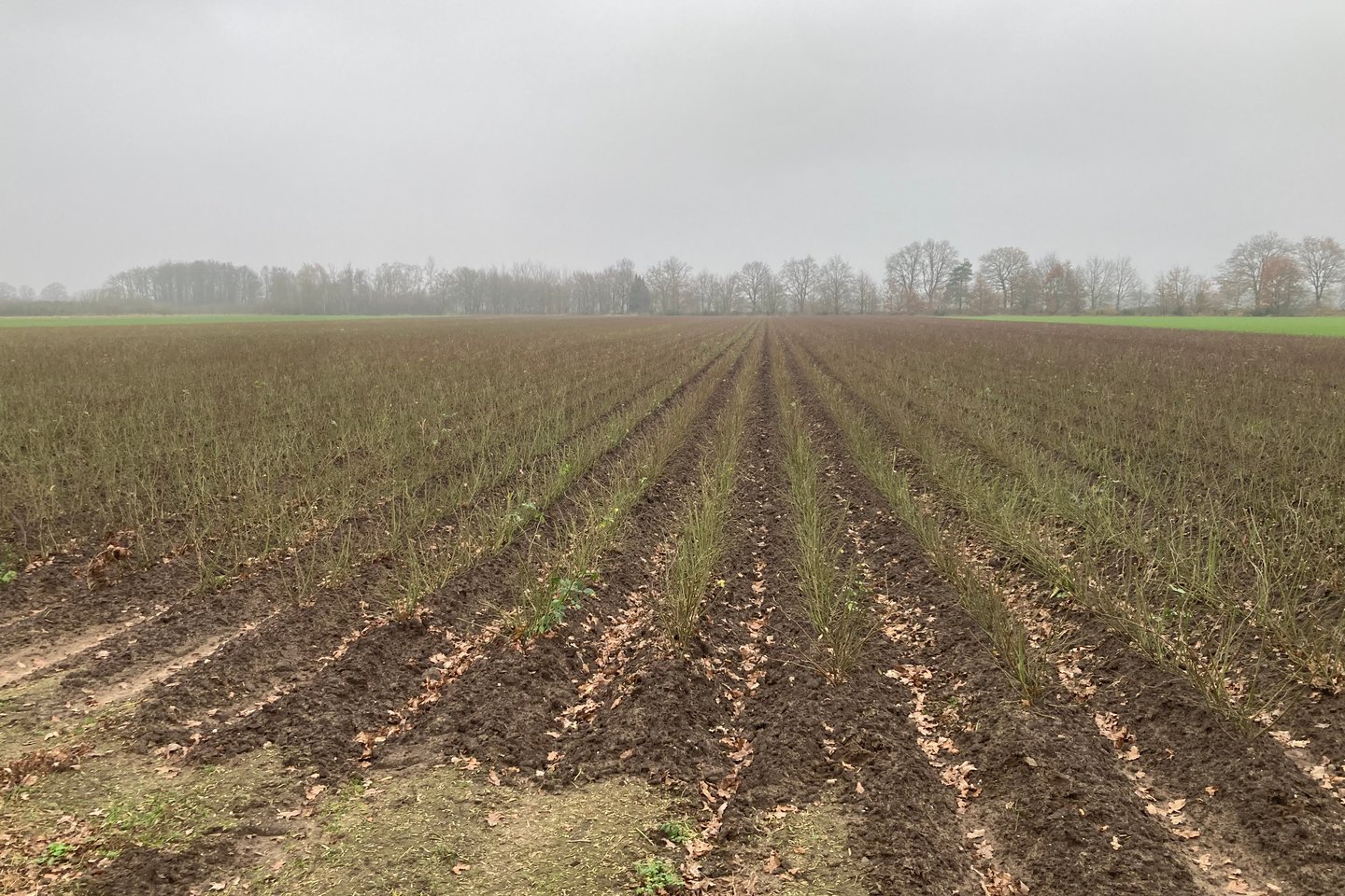 Bekijk foto 4 van Blaktweg