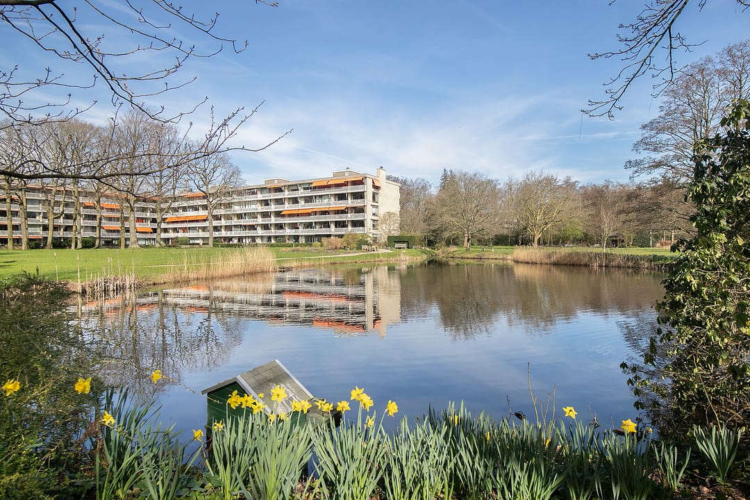 Foto 1 van Stoeplaan 11-F11