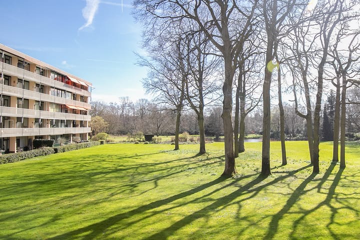 Foto 9 van Stoeplaan 11-F11