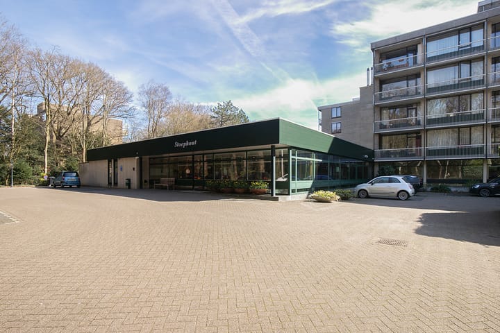 Foto 25 van Stoeplaan 11-F11