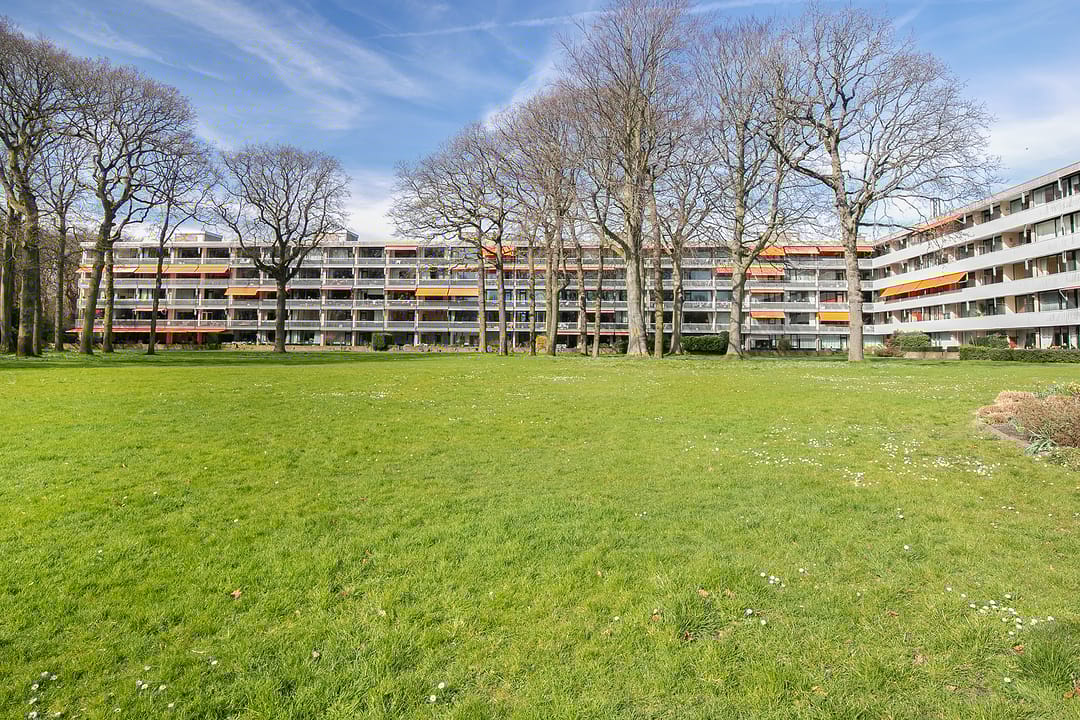 Foto 26 van Stoeplaan 11-F11