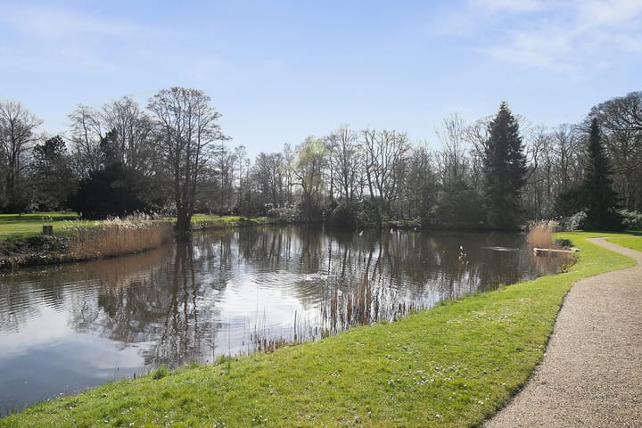 Foto 28 van Stoeplaan 11-F11