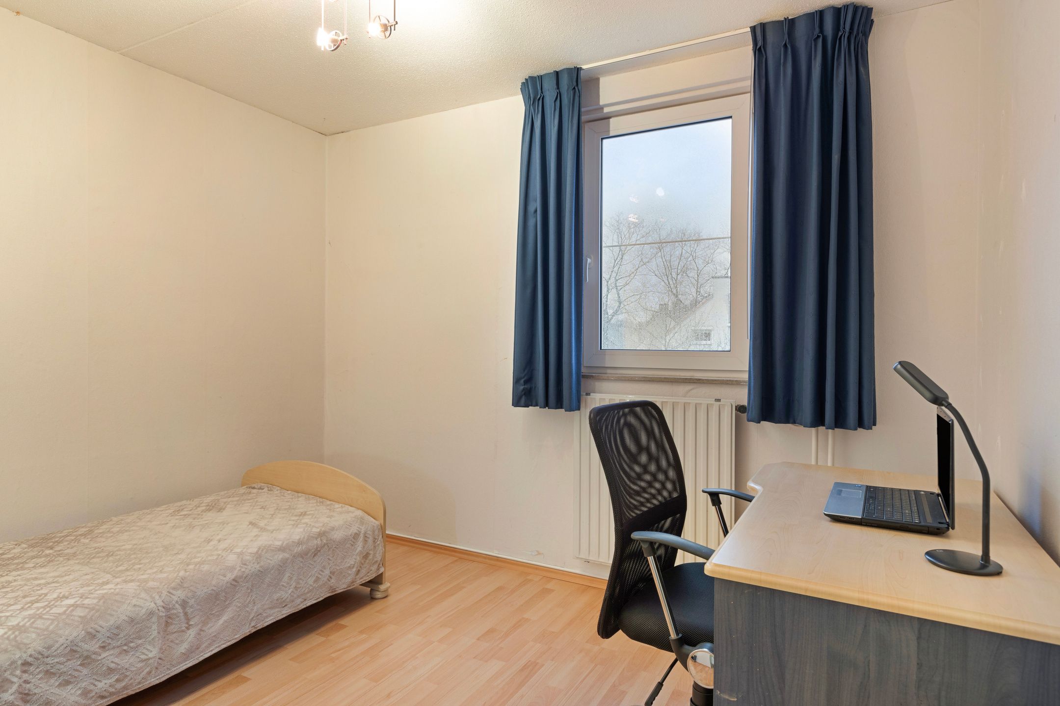 Foto 27 van Elbeplantsoen 13