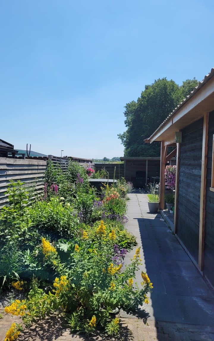 Foto 27 van Hoofdweg 266