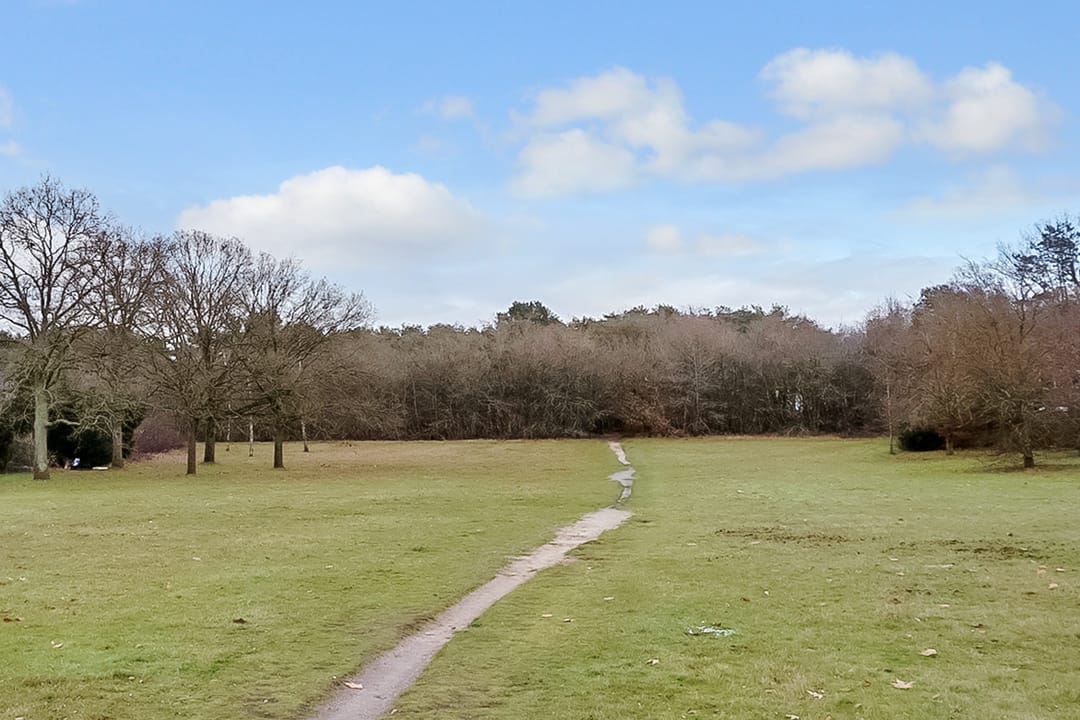 Foto 43 van Rigelstraat 36