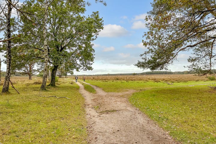 Foto 44 van Rigelstraat 36