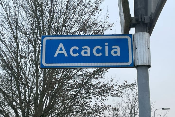 Bekijk foto 21 van Acacia 45