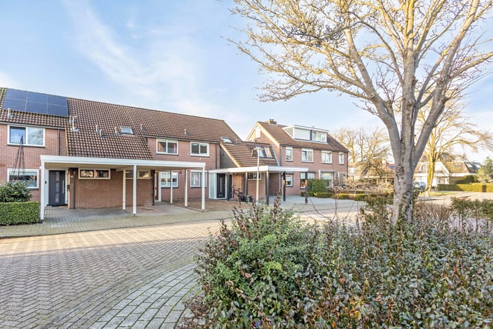 Foto 5 van Kamille 10