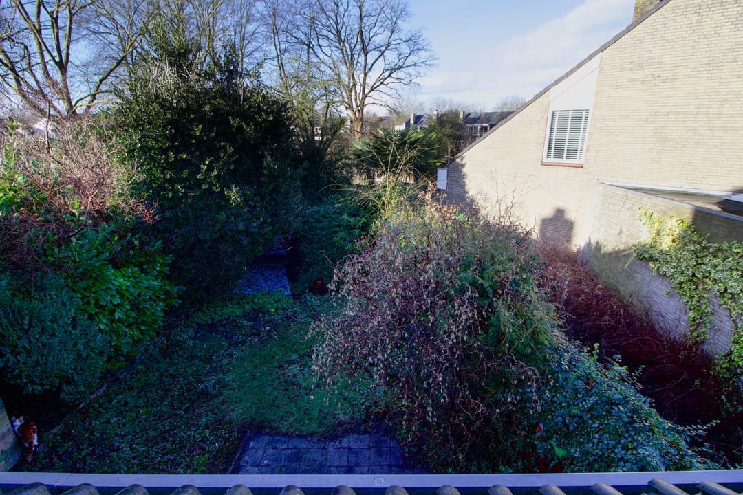 Photo 31 of Bachlaan 111