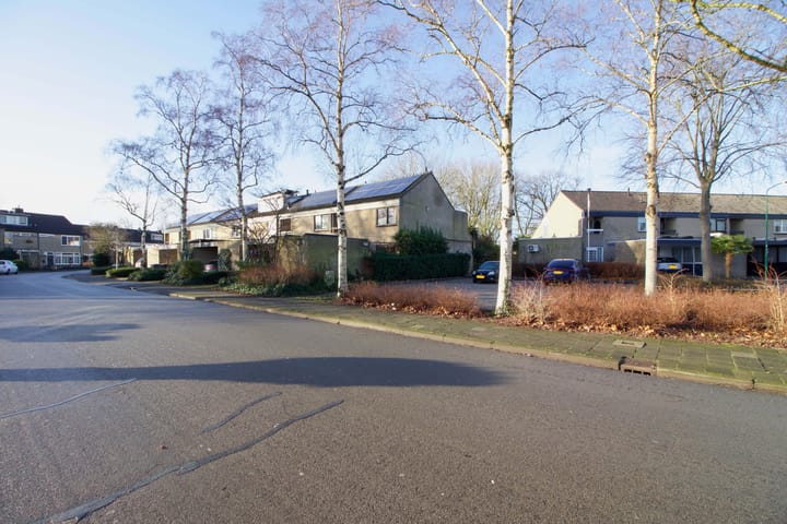 Foto 49 van Bachlaan 111