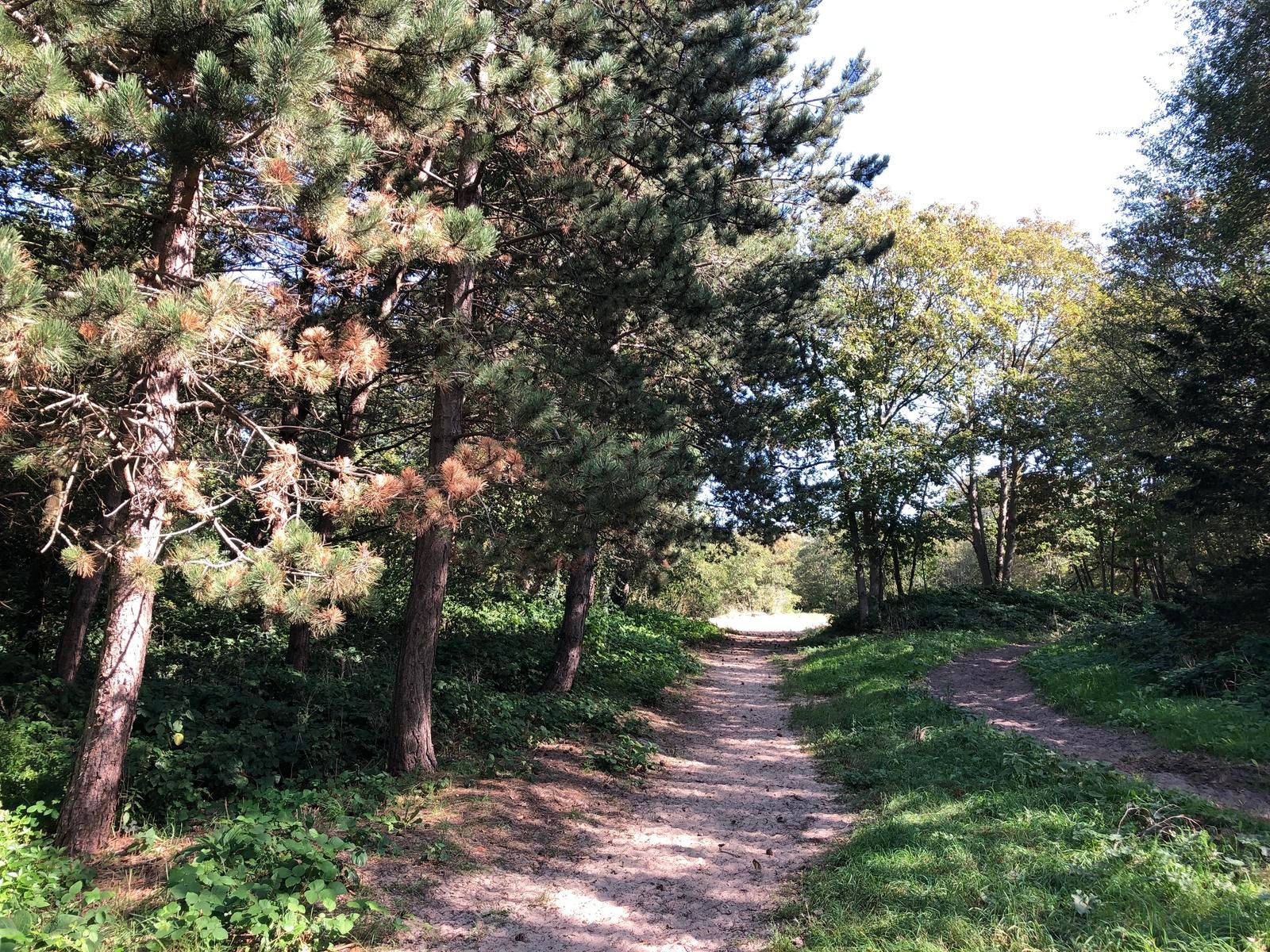 Foto 42 van Oostduinlaan 189