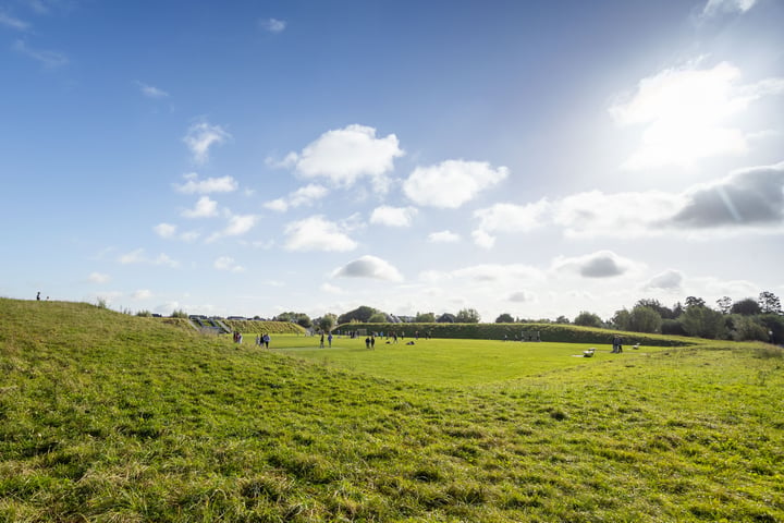 Bekijk foto 54 van Kamilleveld 72