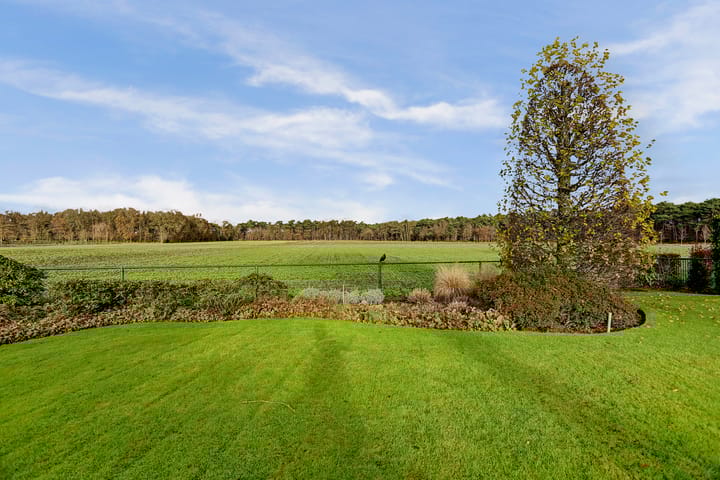 Foto 57 van Boekweitstraat 13