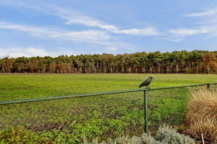 Foto 58 van Boekweitstraat 13